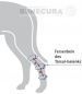 Preview: Tarsalgelenk-Bandage - light oder medium