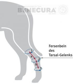 Preview: Tarsalgelenk-Bandage - Splint aus 3 oder 5 mm Neopren